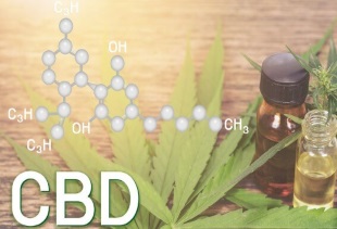 Benefits of CBD for dogs