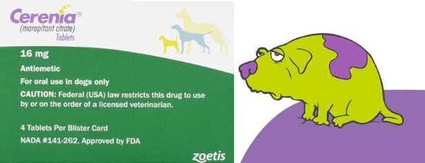 Cerenia for Dogs