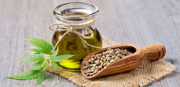 What is Hemp Seed Oil for Dogs