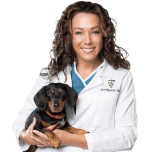 Dr. Karen Becker is a holistic veterinarian, author, and speaker