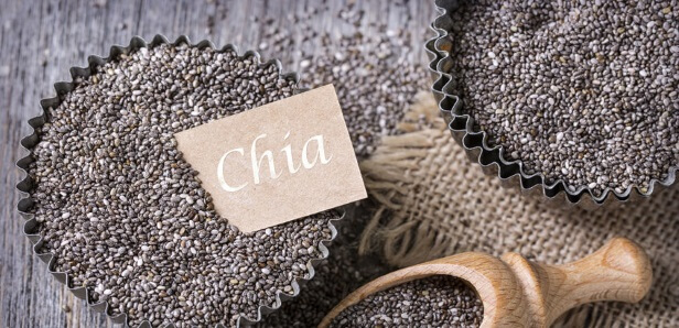 Chia seeds for dogs